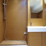 Jeanneau 509 Shower