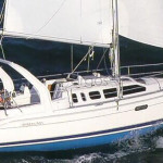 Hunter 310 Free Bird